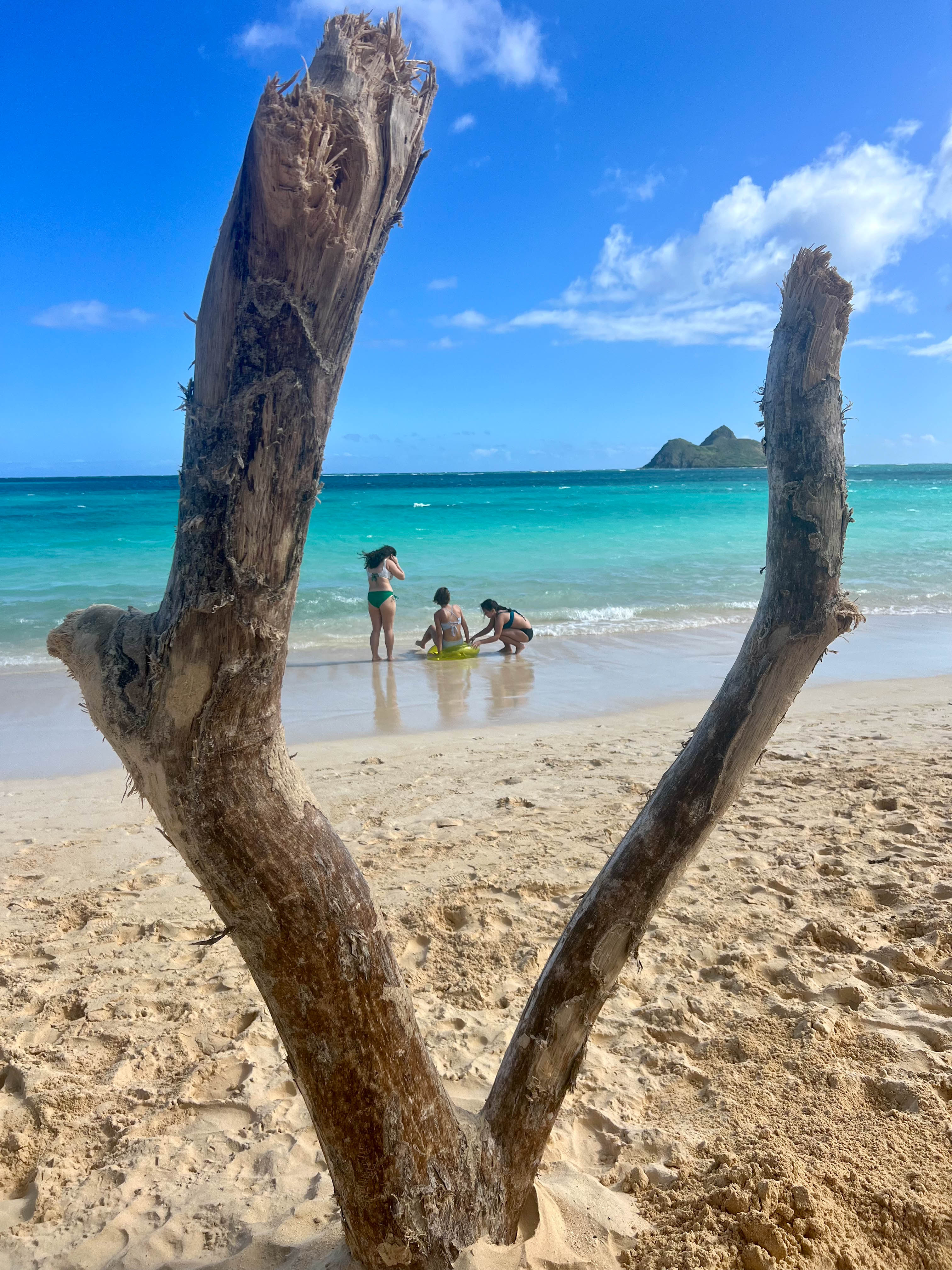 https://0201.nccdn.net/1_2/000/000/09b/0ec/hawaii-order-103.jpg