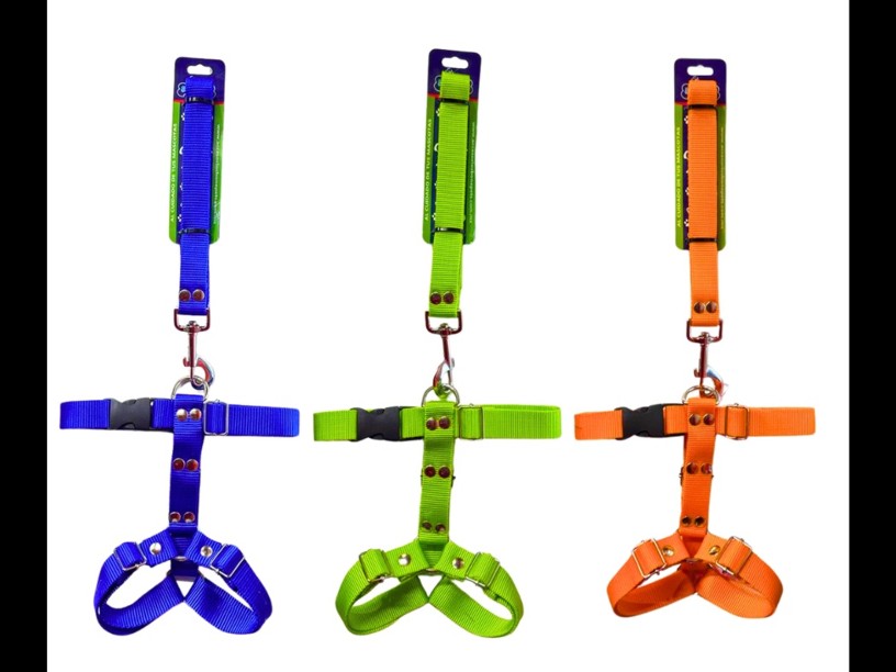 BON054 - CORREA 
CON PECHERA DE NYLON 
Y HERRAJE REFORZADO, CINTA 1"