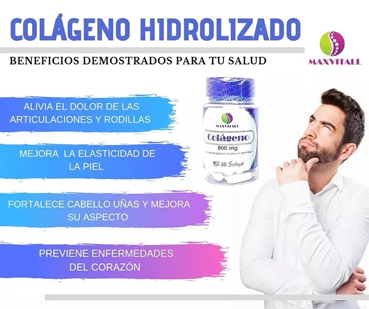 Wrap sandwiches with vegetables