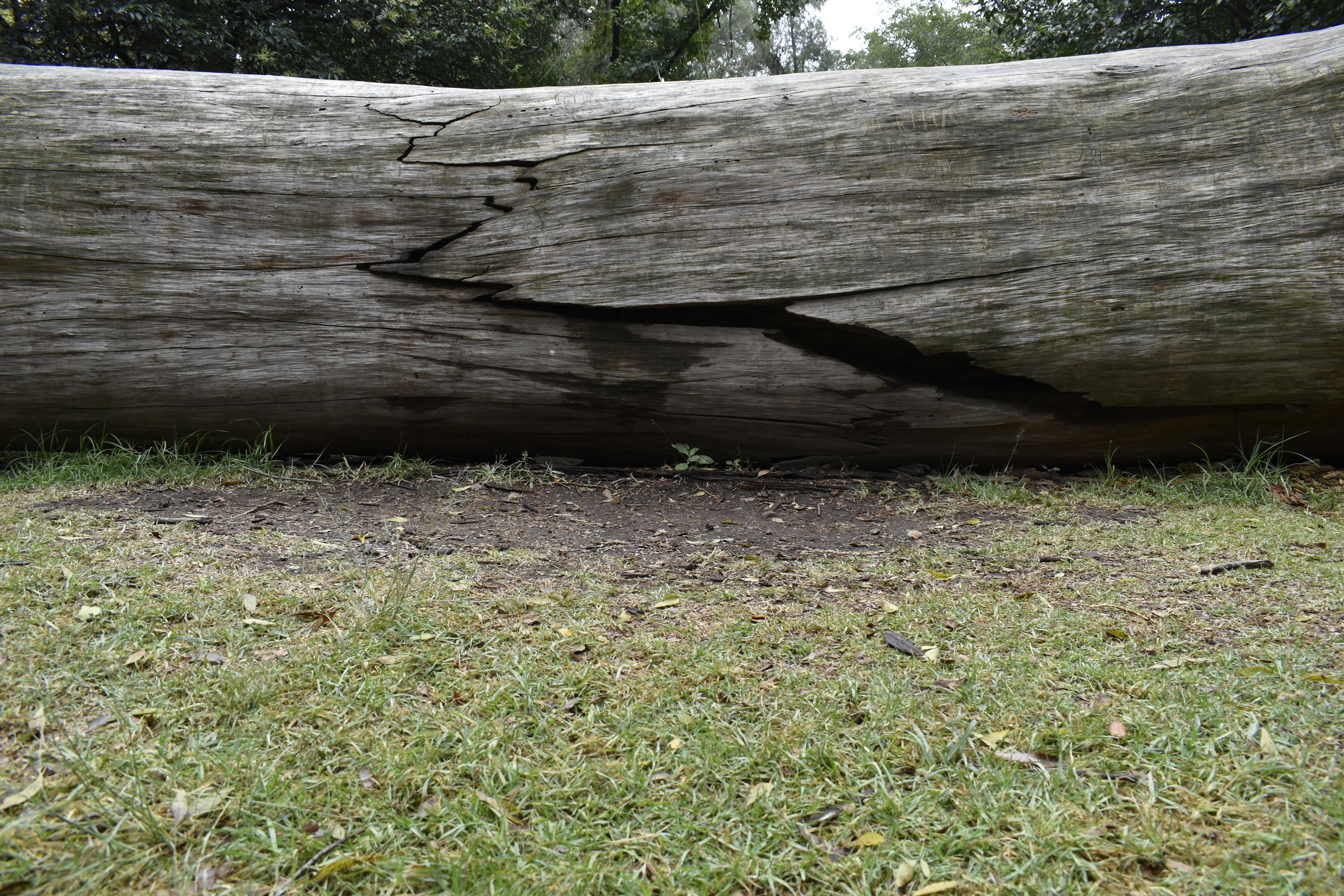 Fotografías de retrato