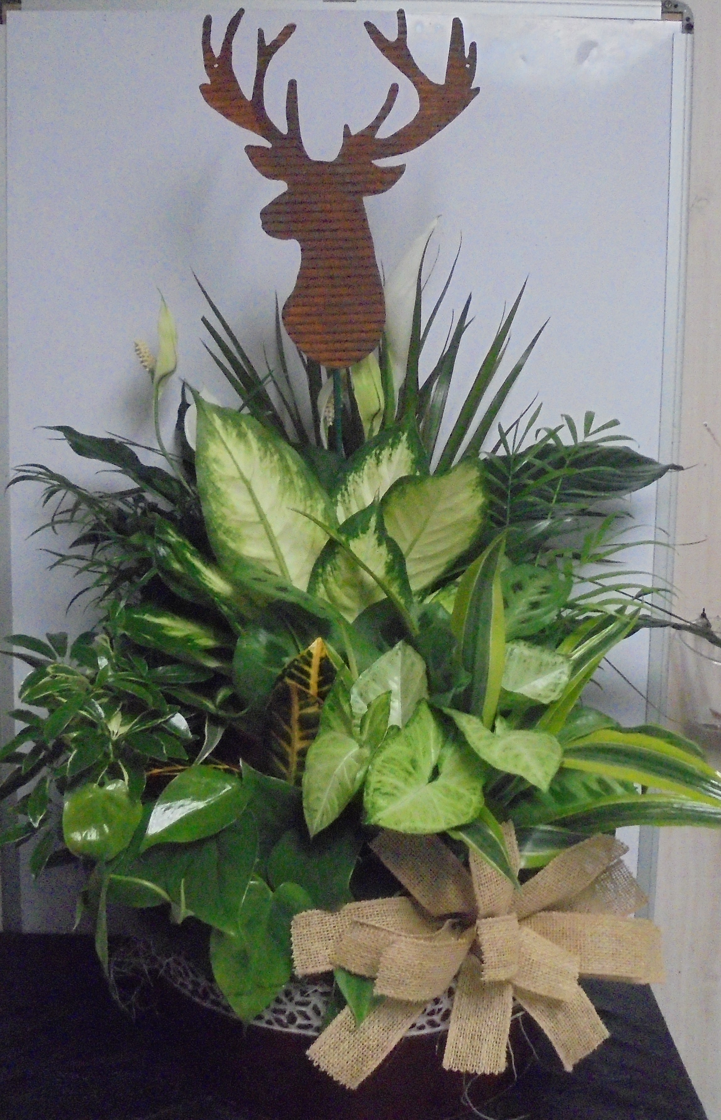 (10) Dish-Garden Plant (Metal)
W/ Deer
$115.00