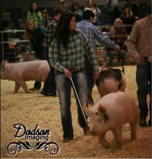 Kaitlyn Hardin
4th in Class
2015 TN State Market Hog Show