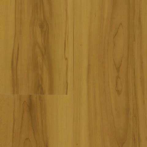 MAPLE CANADIENSE 
TSV2A-L1001-SA