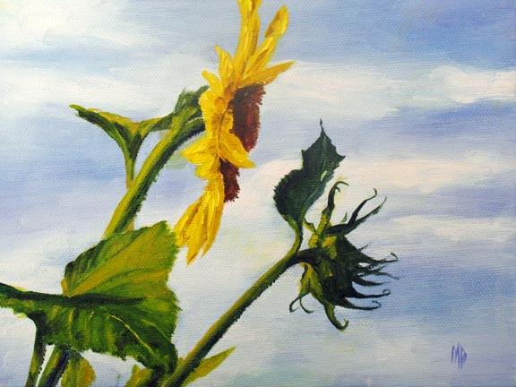 Sunflower - 6"x8" Oil on Stretched Canvas  SOLD