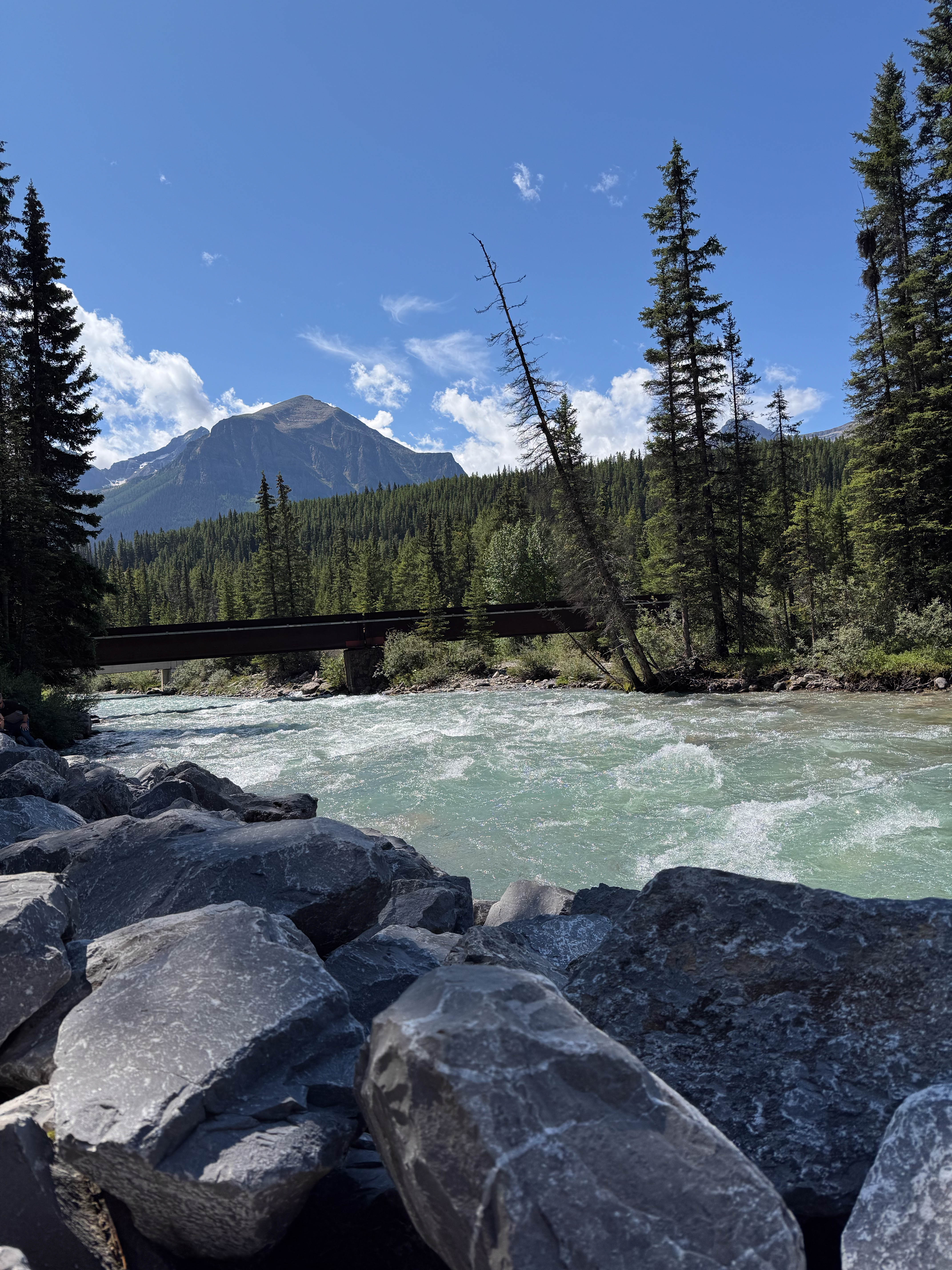 https://0201.nccdn.net/1_2/000/000/09c/a93/calgary-order-76.jpg