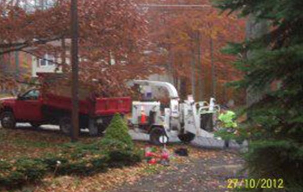 Tree Service Truck