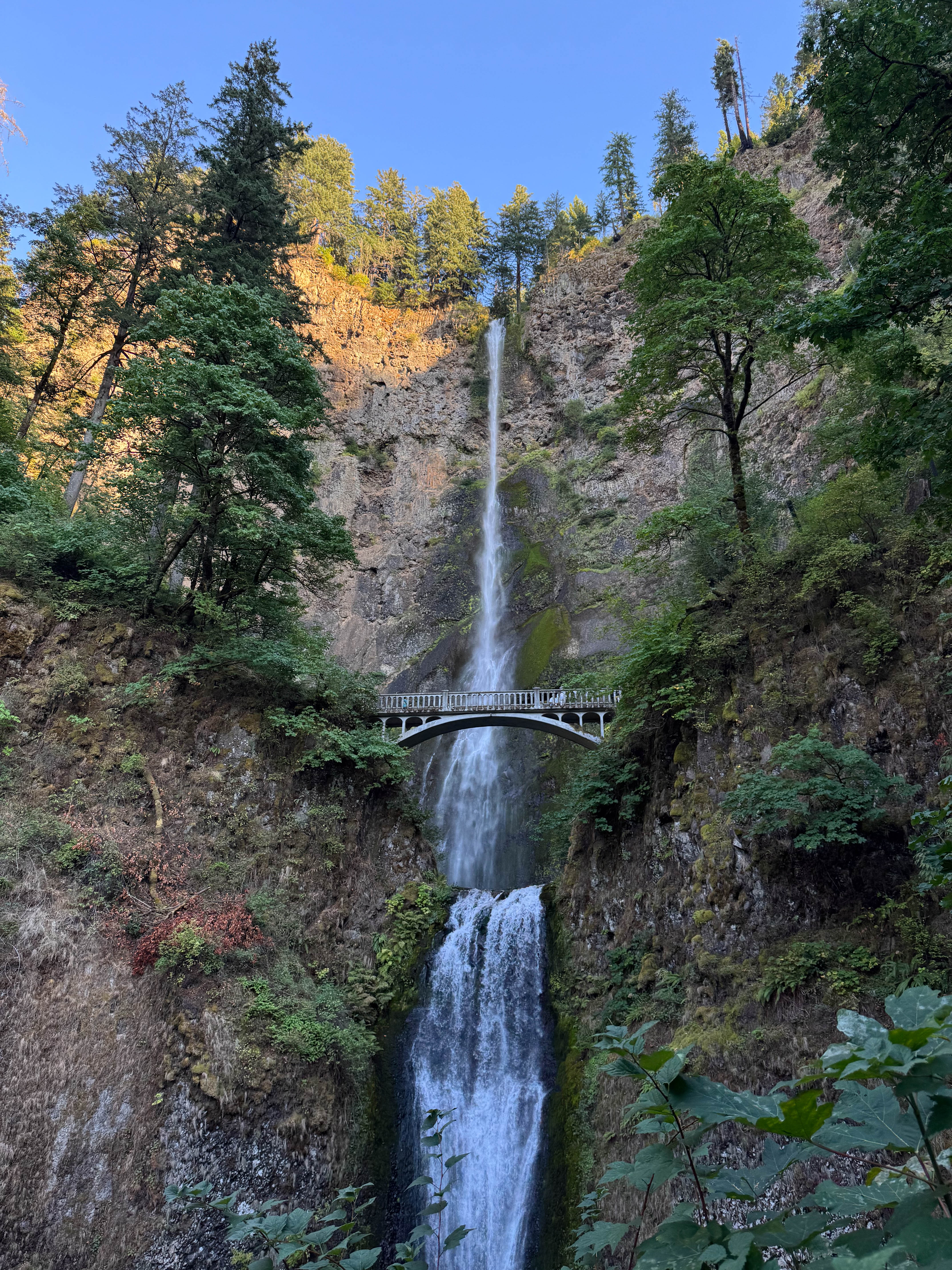 https://0201.nccdn.net/1_2/000/000/09d/5bf/portland-order-26.jpg