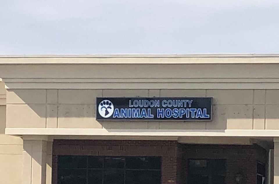 Animal Hospital Signage