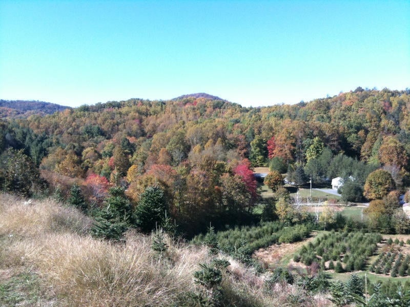 Fall colors are in full swing at the farm. Check out the view of the surrounding mountains as seen from the farm. 