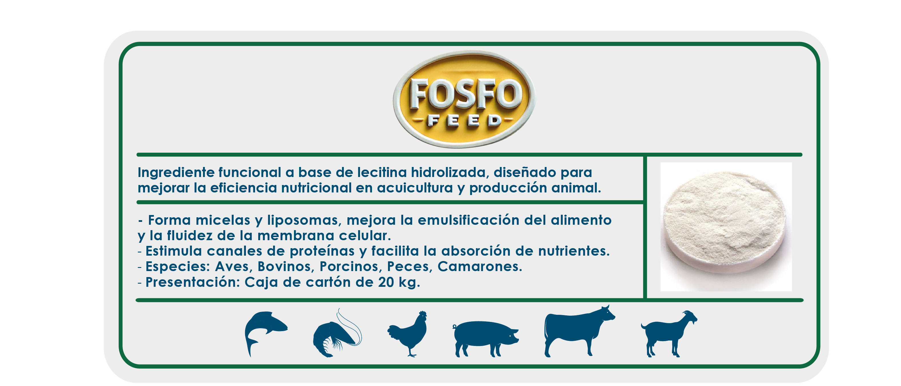 https://0201.nccdn.net/1_2/000/000/09e/819/ficha_ecommerce-11.png
