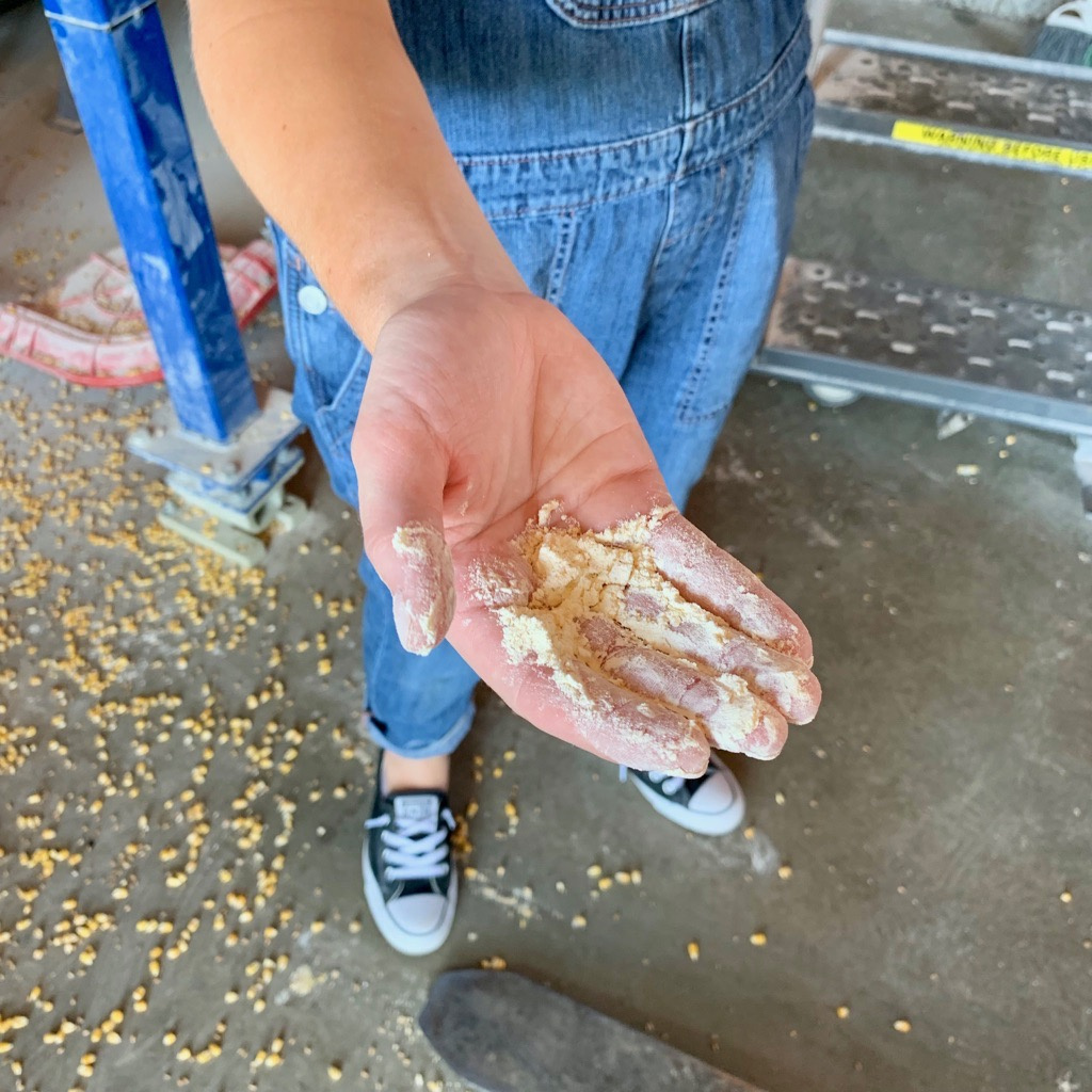 Freshly Ground Corn - Preservation Distillery