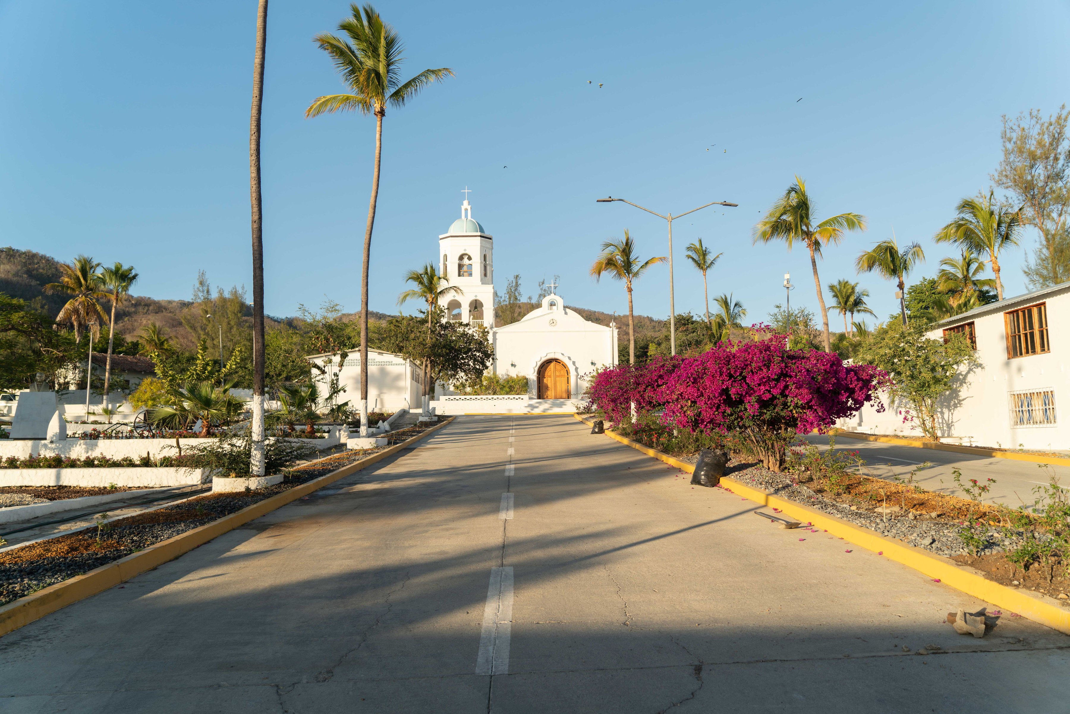 Camino bordeado de palmeras con flores y fuente central, montaña al fondo.
