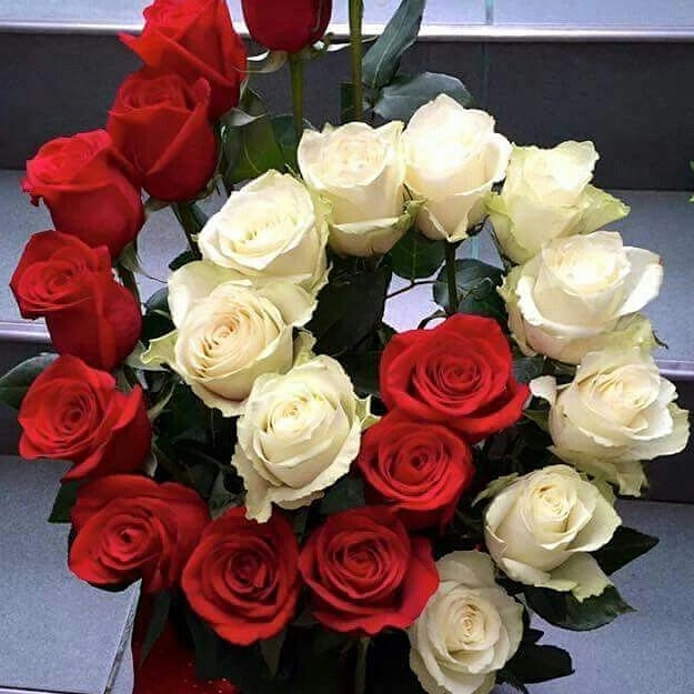 https://0201.nccdn.net/1_2/000/000/09e/e5b/IMG-20190430-WA0090.jpg