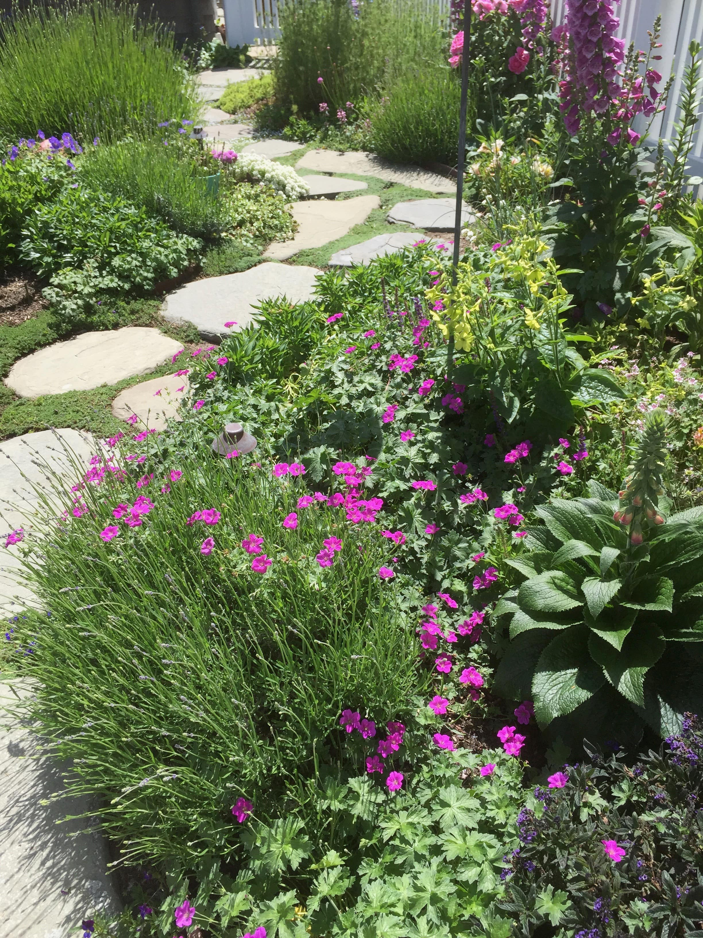 Capitola Cottage Garden 2