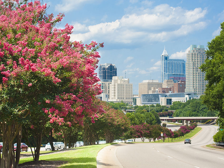 Raleigh Skyline