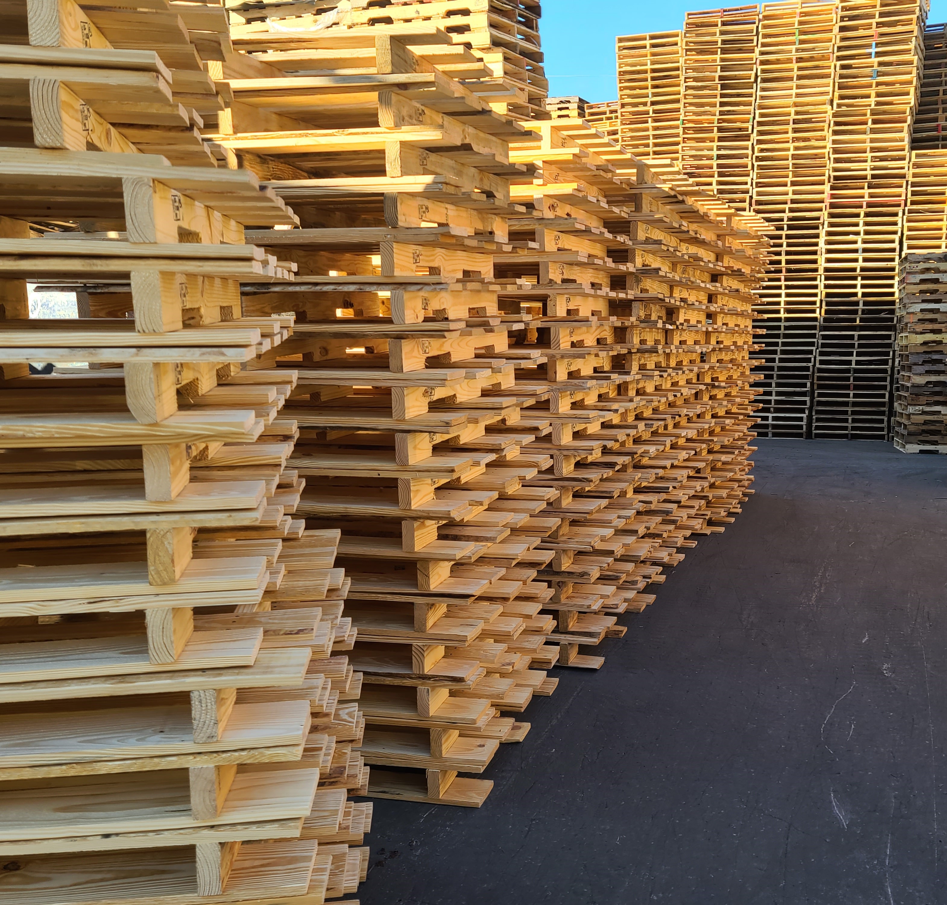 Need Pallets in Miami Florida 
Call National Pallets