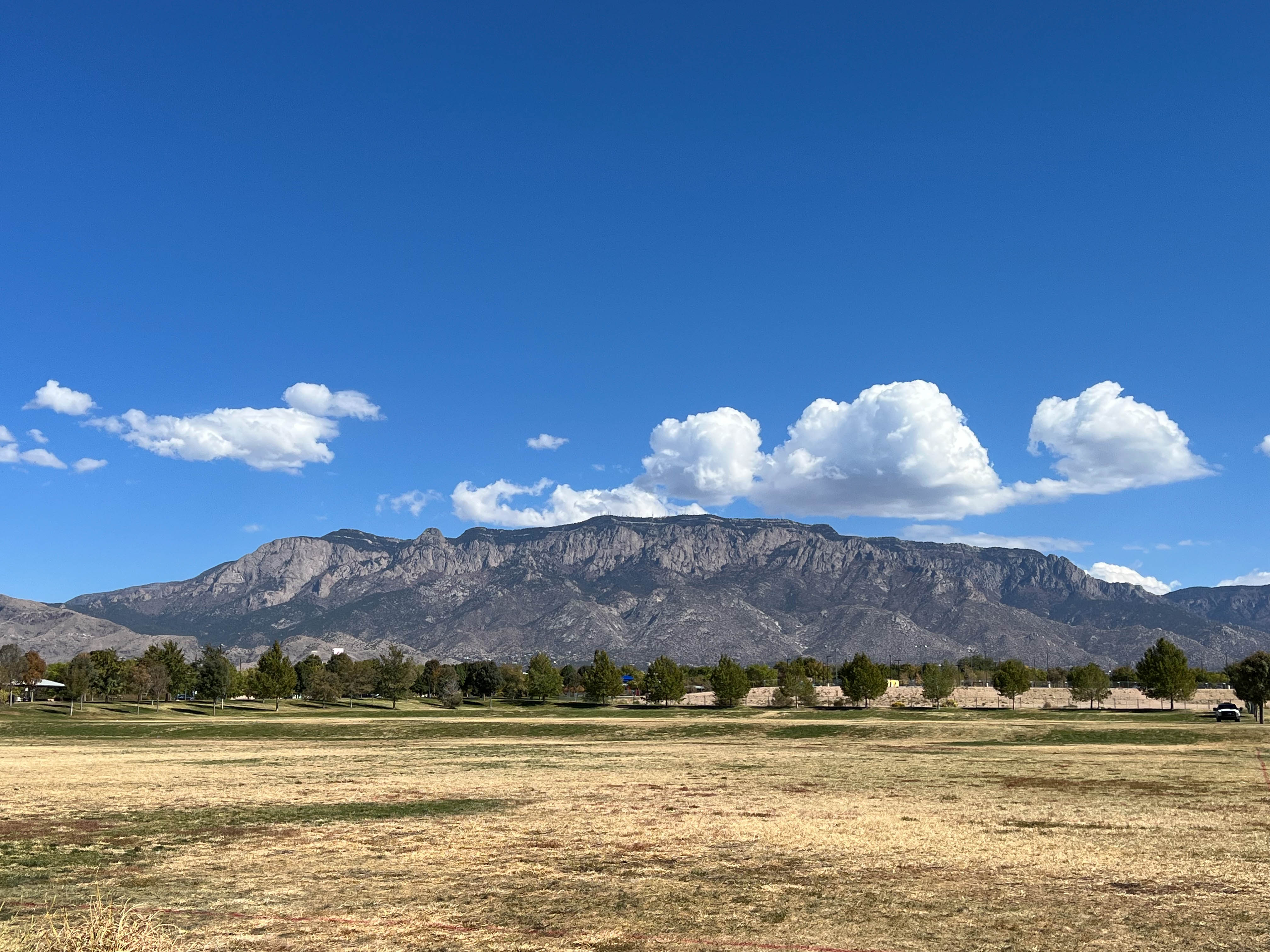 https://0201.nccdn.net/1_2/000/000/09f/7ab/albuquerque-order-1.jpg