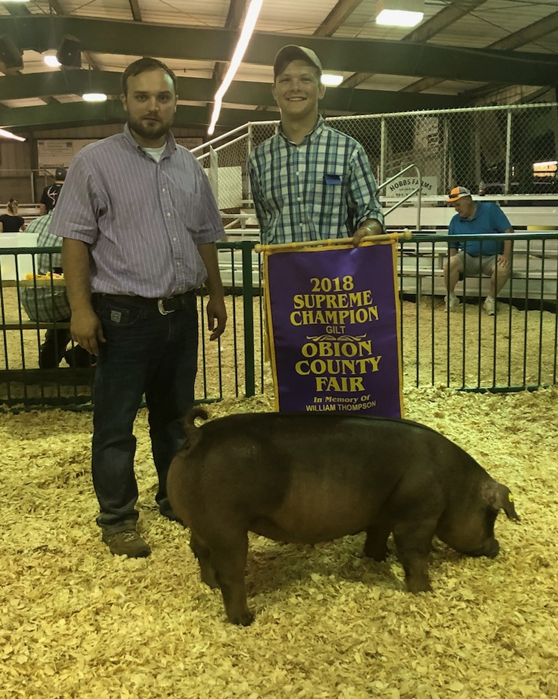 Hunter Curland 
2018 Obion County Fair
Supreme Champion Gilt
Champion Duroc Gilt