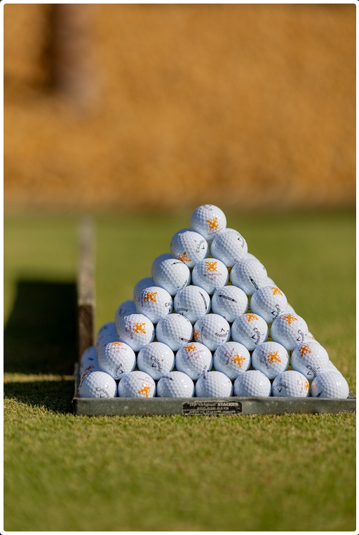 white golf ball on top of green grass field surrounded by green leaf trees