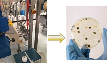 Valoración de Resultados