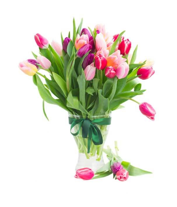 Florería de Cora  - TULIPANES