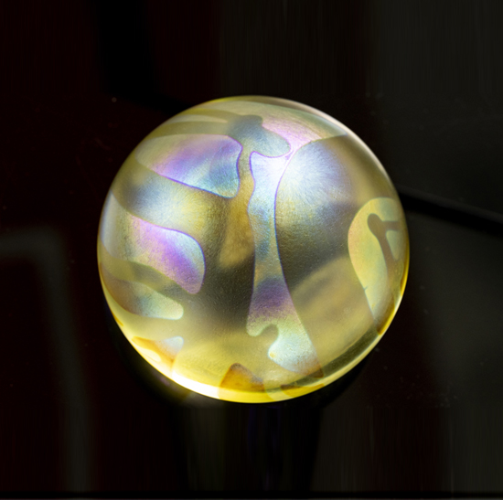 Inspired by the warming of seawater that has caused reefs to die off.