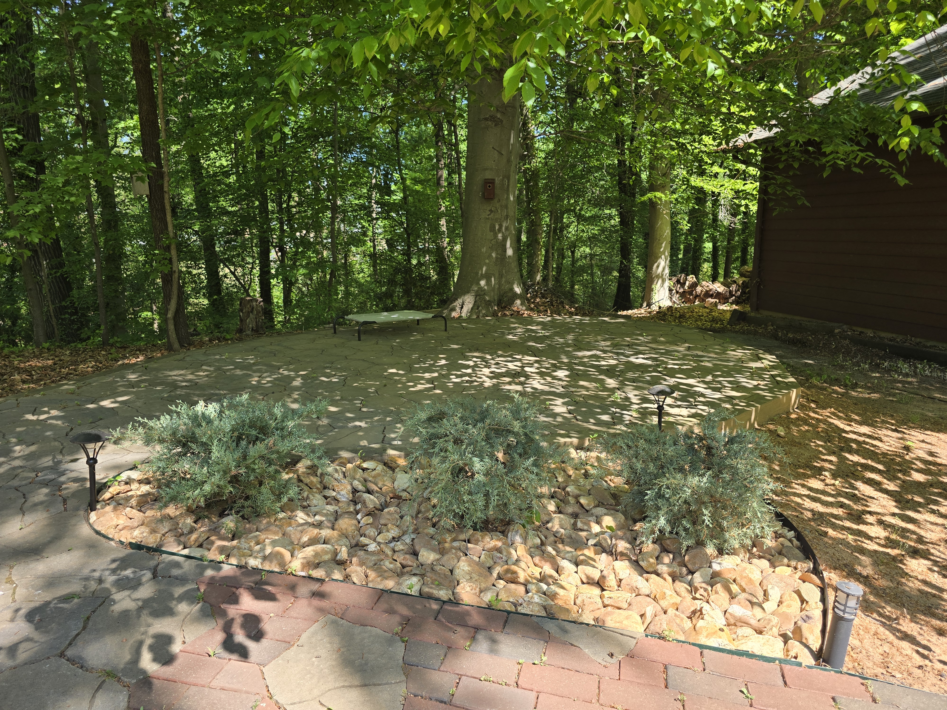 Patio, Beech tree shade