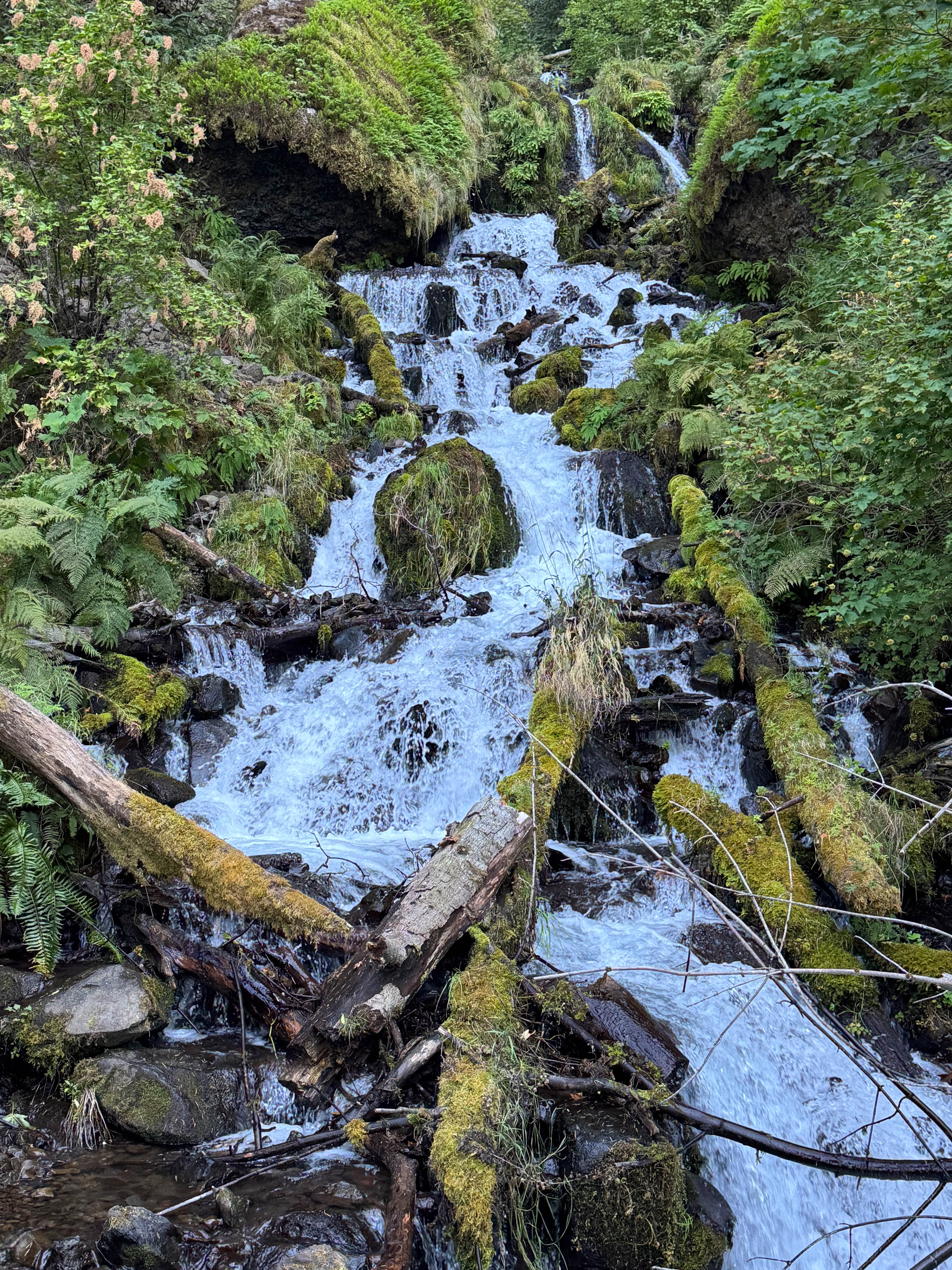 https://0201.nccdn.net/1_2/000/000/0a0/23e/portland-order-18.jpg