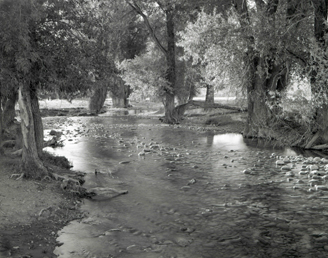 Moulton Stream