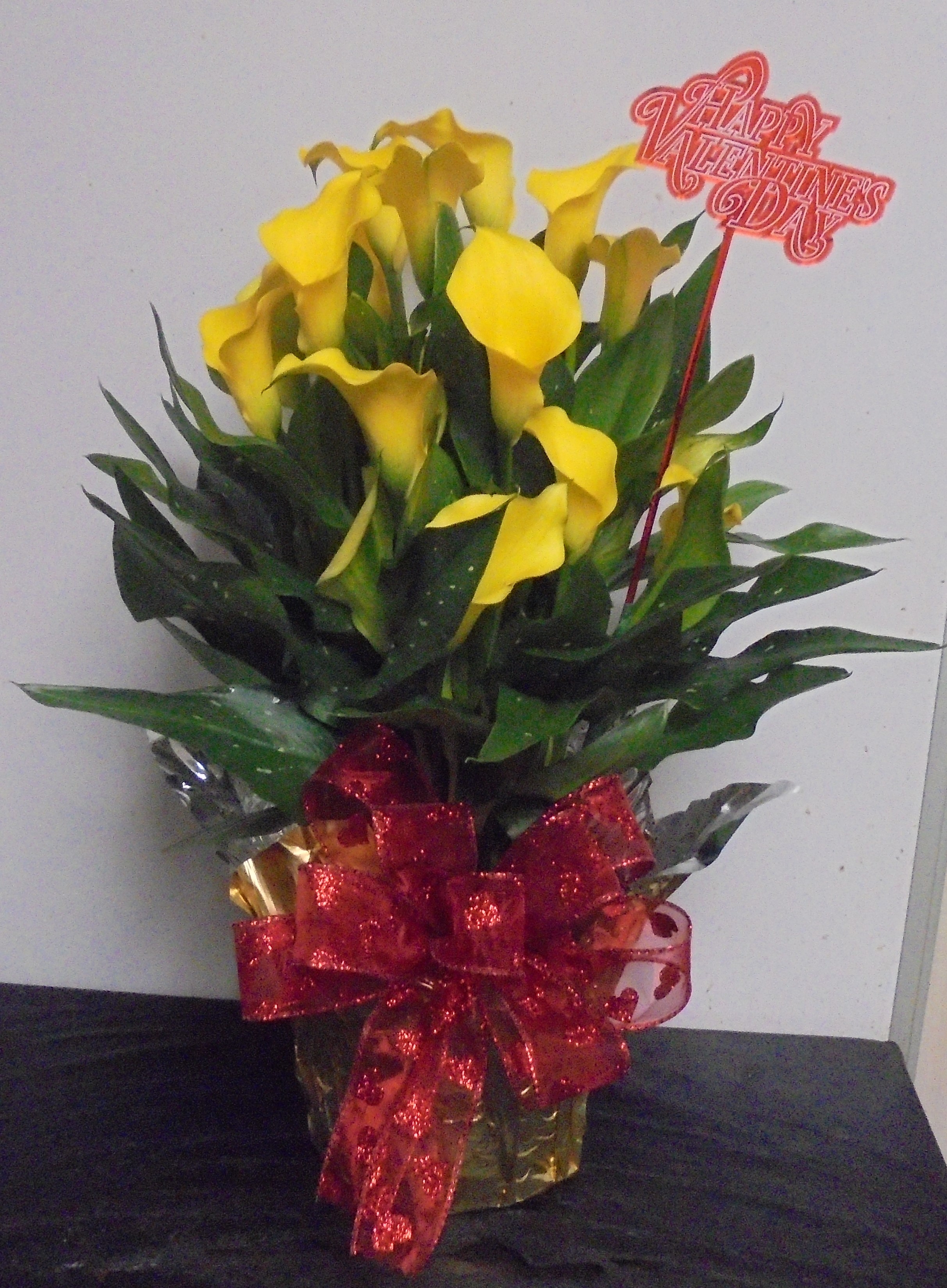 (7)  "Yellow" Calla Lily Pot
$50.00