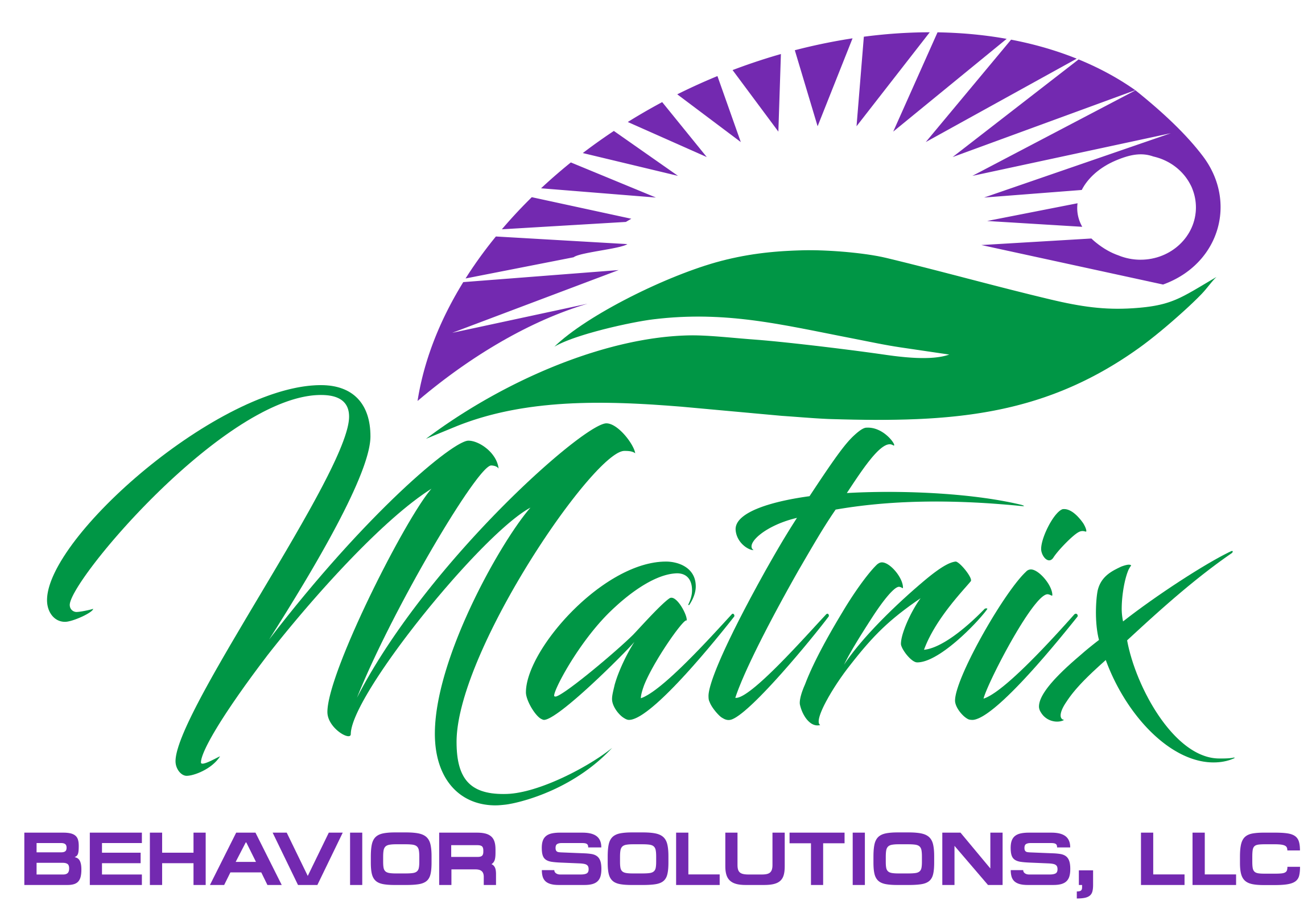 Matrix Behavior Solutions