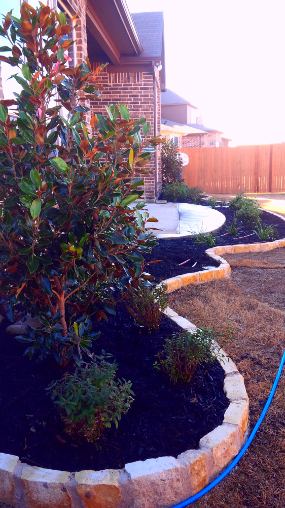 Limestone border 2015