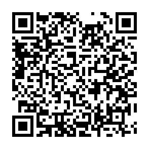 Imagen de logotipo de muestra