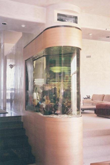 Custom Fish Tank Designs