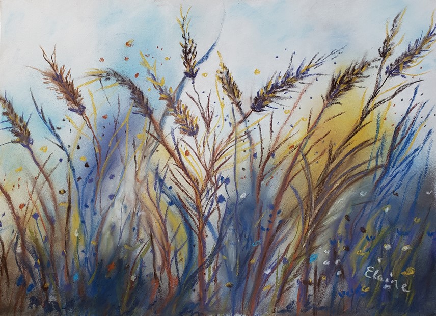 https://0201.nccdn.net/1_2/000/000/0a1/353/wheat-field-pastel.jpg