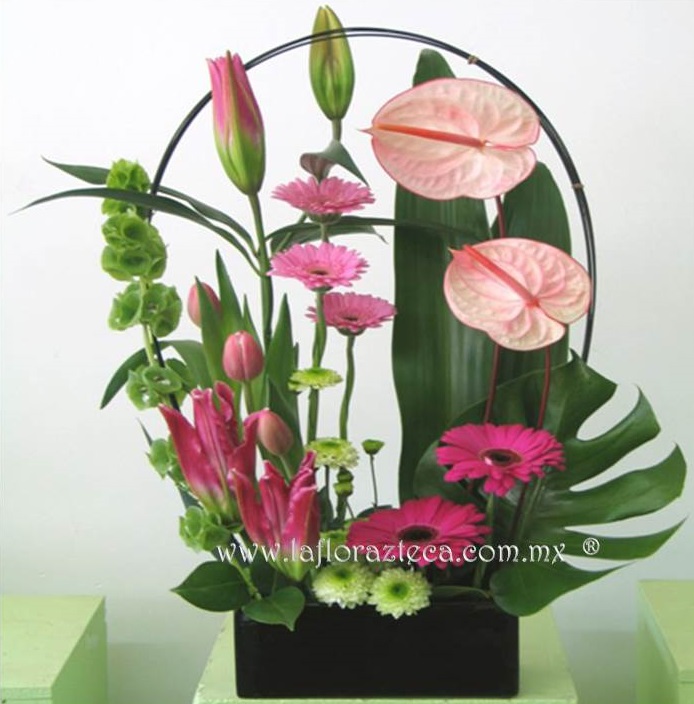 LFA-OT004
Precio $1,270