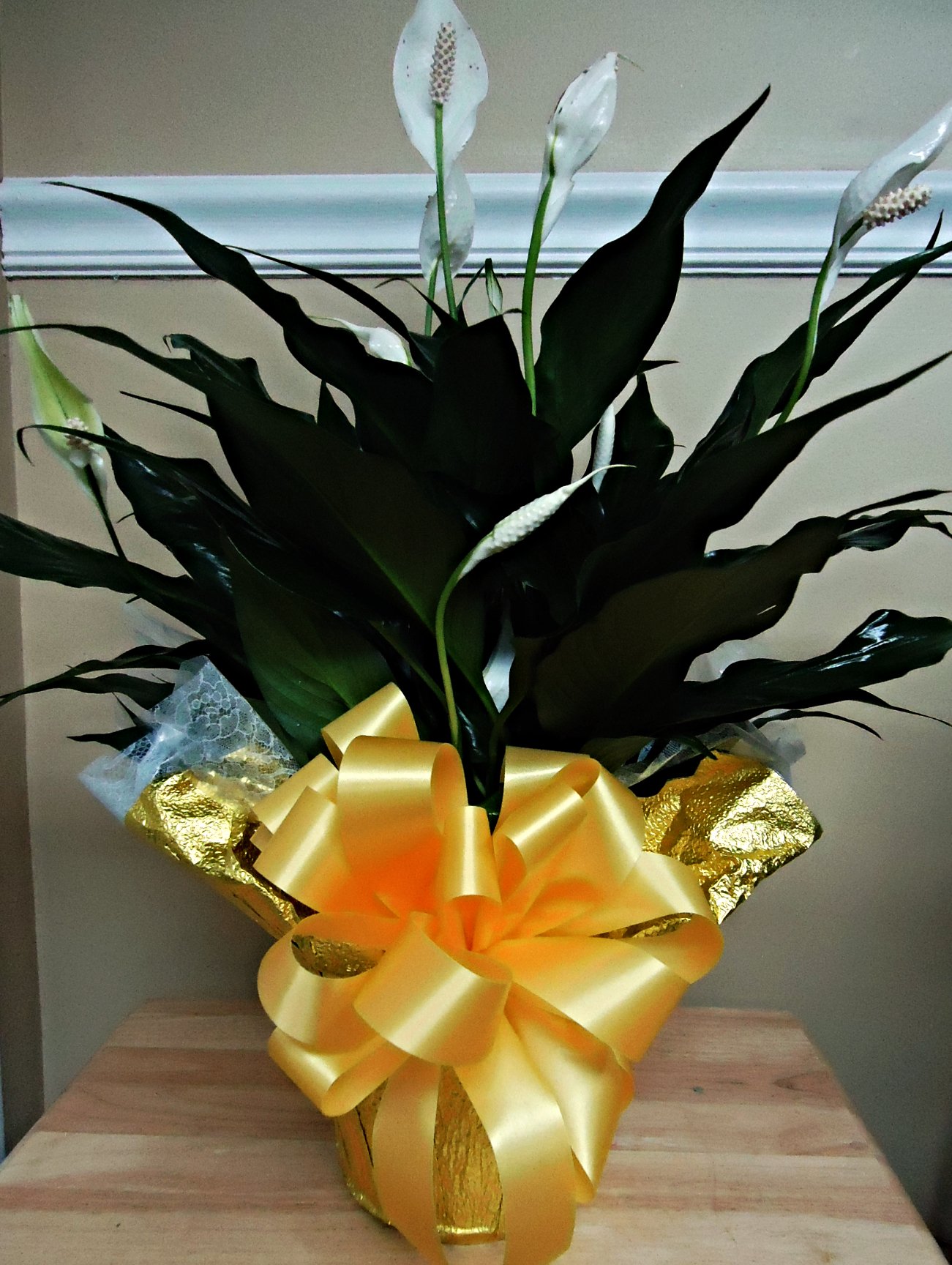 (1) Peace Lily Plant
   $35.00