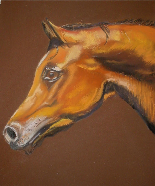 Gallant, Pastel on Paper, Framed    SOLD