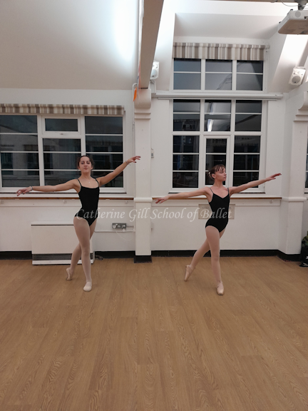 https://0201.nccdn.net/1_2/000/000/0a1/b9d/copyrightcatherinegillschoolofballetadvka.png