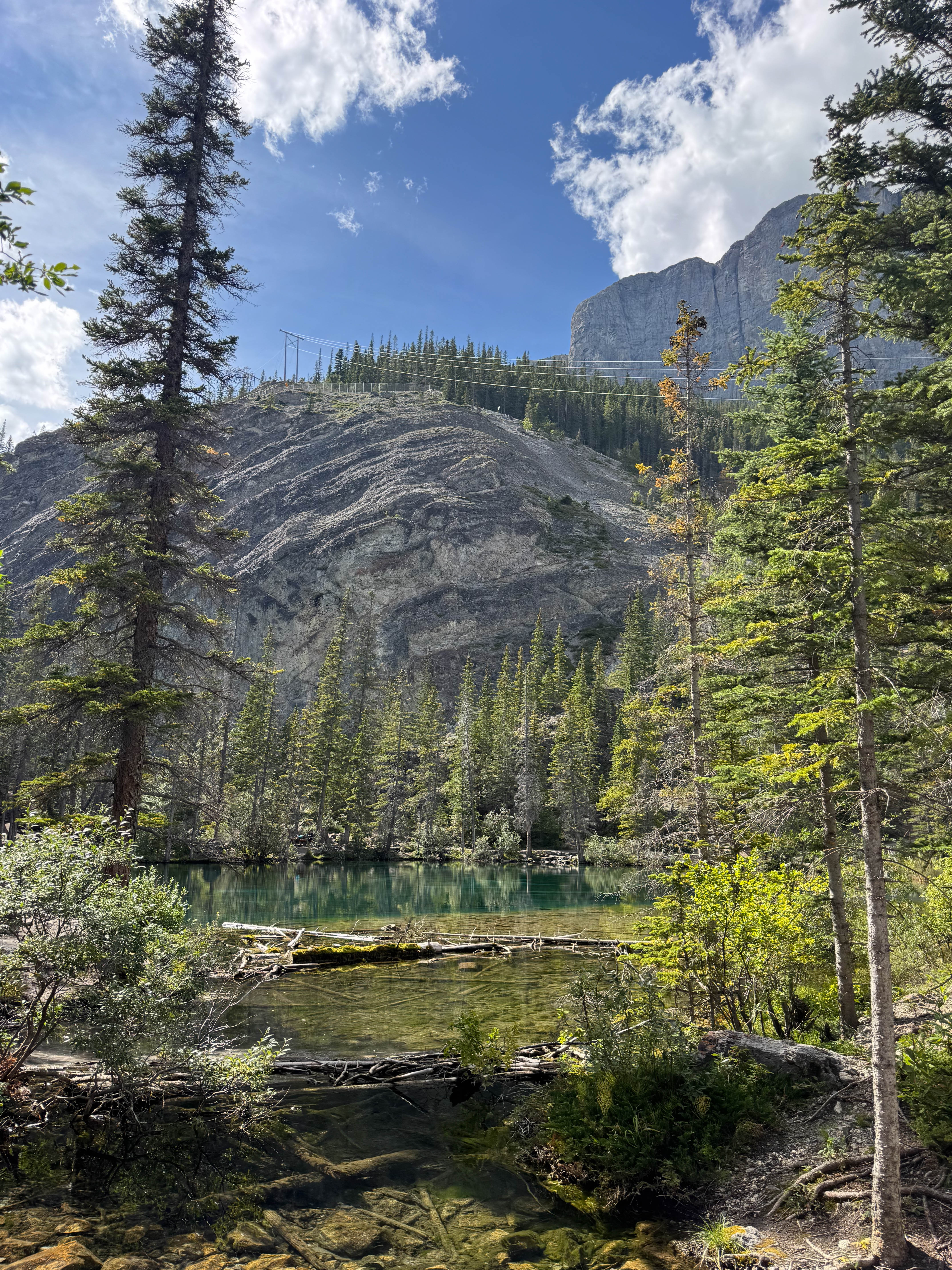 https://0201.nccdn.net/1_2/000/000/0a1/c72/calgary-order-282.jpg