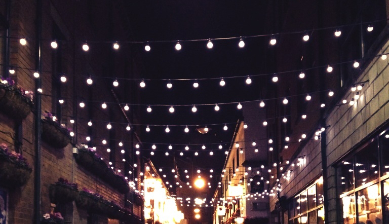 50' Bistro Light Strand LED
$10/day or weekend (4 available)