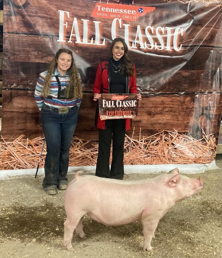 Abigail Henry
2023 TSSC Fall Classic
Reserve Champion
Chester White Barrow
Champion TN Purebred Barrow
4th Overall TN Purebred Barrow