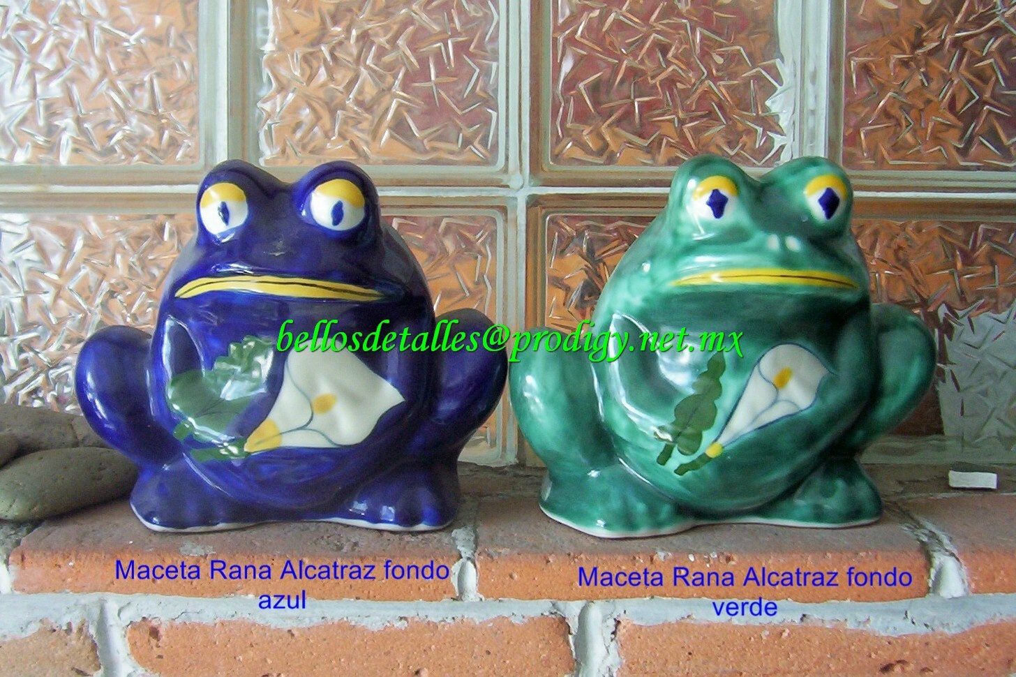 https://0201.nccdn.net/1_2/000/000/0a2/26e/Rana-alcatraz-fondo-azul-y-verde-1456x970.jpg