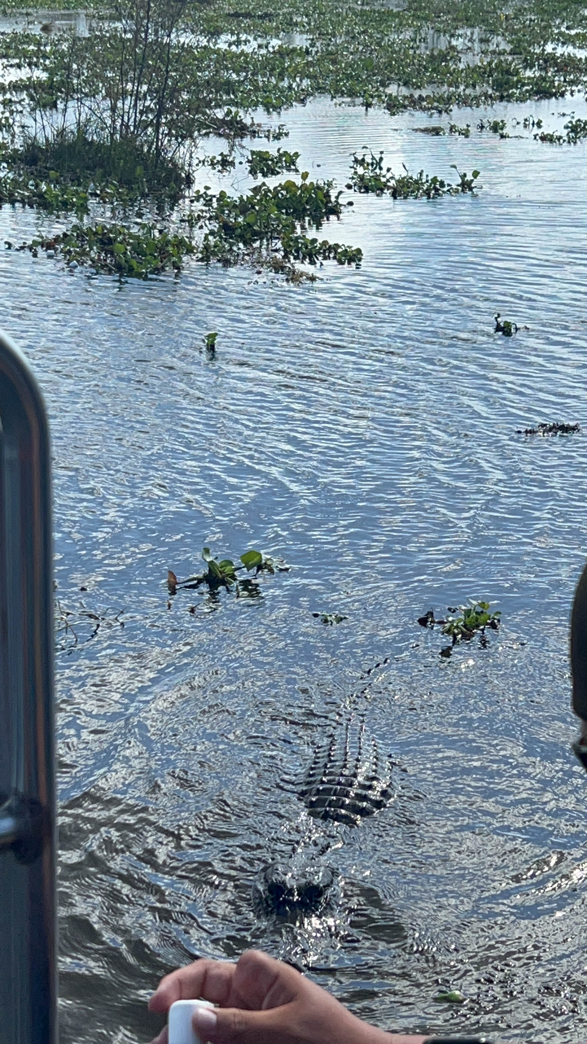https://0201.nccdn.net/1_2/000/000/0a2/b3d/new-orleans-order-126.jpg