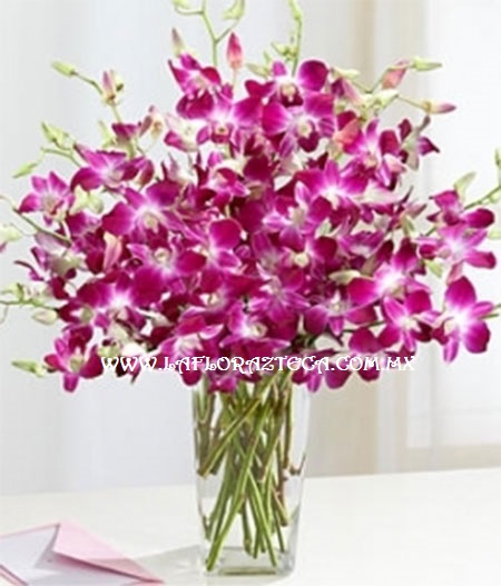 Mom - 122
Precio $2,290