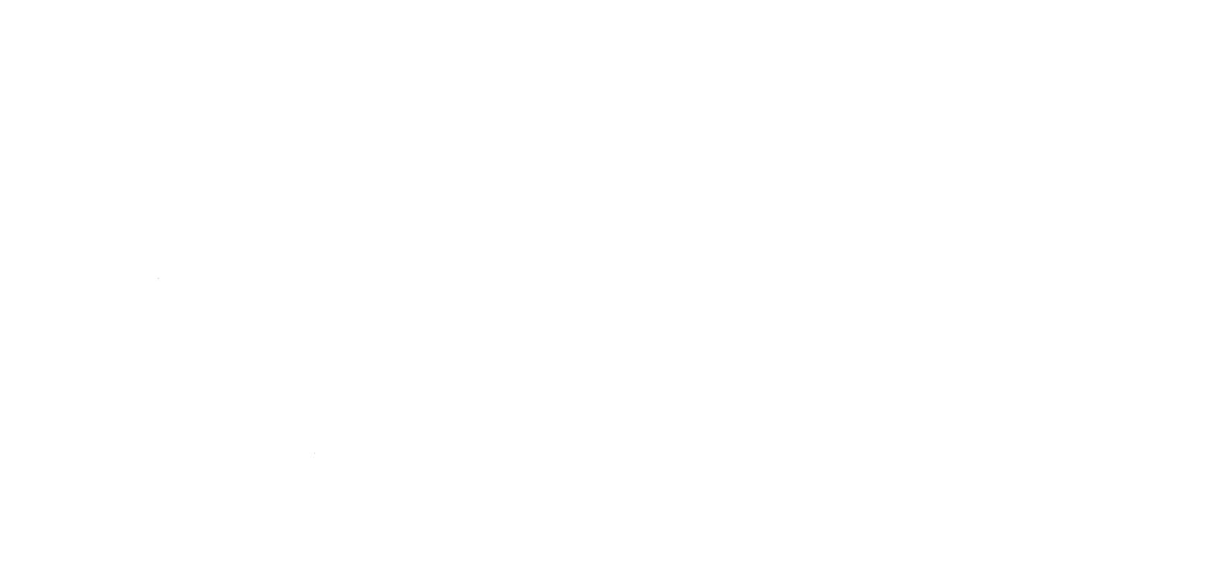    REALTY EXECUTIVES