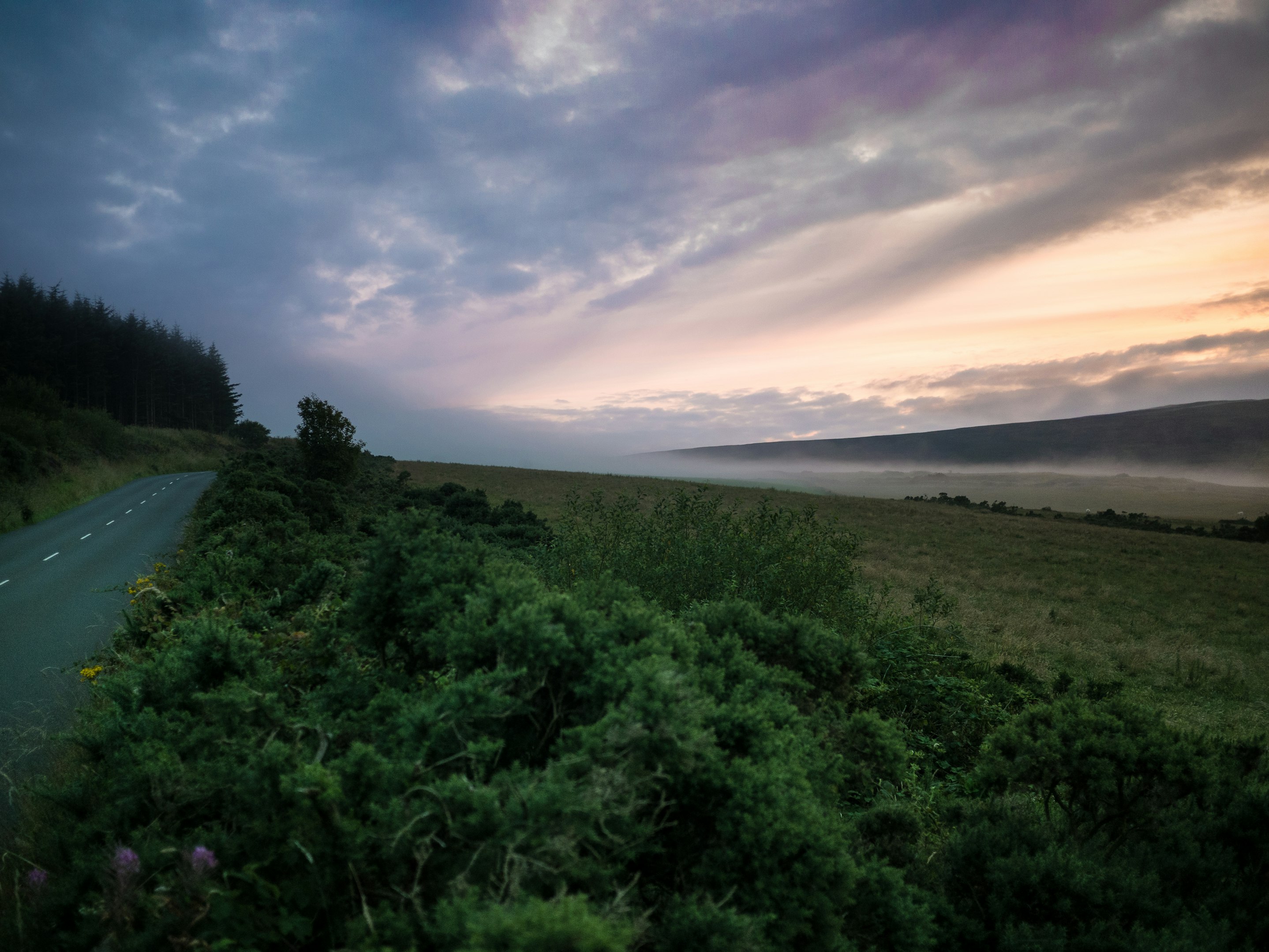 paisaje de campo de césped