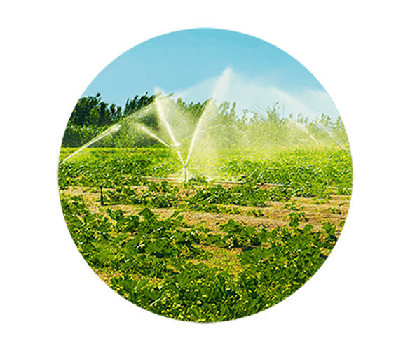 Agroservicios de Buenavista - insumos para el campo