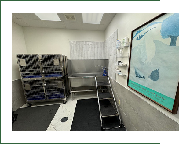 Pet Bathing Station 2