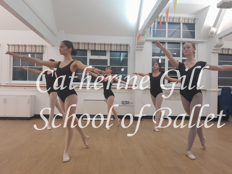 https://0201.nccdn.net/1_2/000/000/0a3/70c/copyroghtcatherinegillschoolof-balletadvll-8in.png